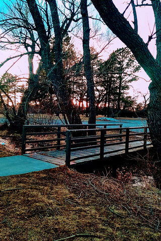 Sunset Bridge