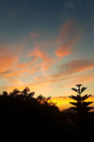 Serene Sunset Bliss 🌅