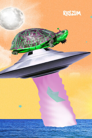 Torto's Cosmic Adventur..