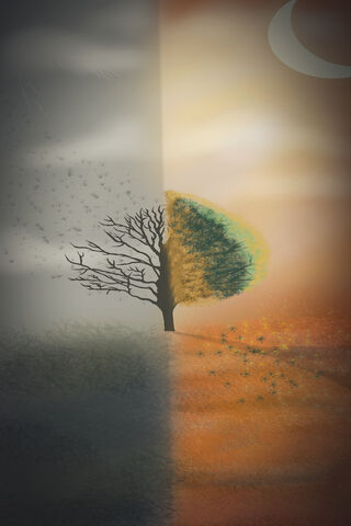 Two Side Of Life