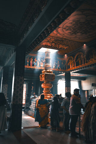 Serene Moments in a Sac..