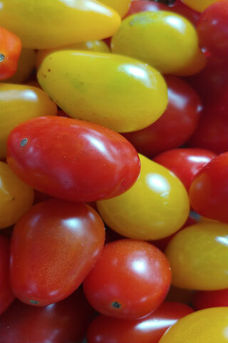 Colorful Cherry Tomatoe..