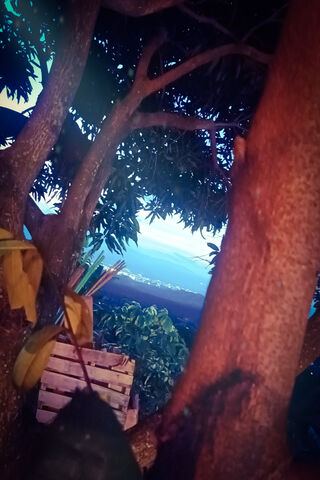 Un Lindo Cielo
