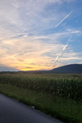 Serene Sunset Over Corn..