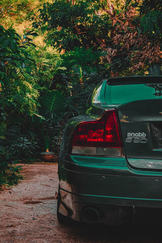 Urban Jungle Escape 🌿🚗