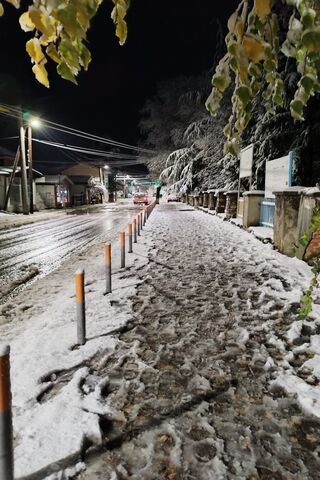Winter Wonderland at Ni..