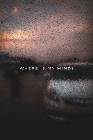 Where Is My Mind? 🌫️