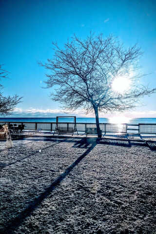 Winter Serenity 🌅❄️