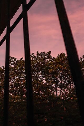 Sunset Through the Bars..
