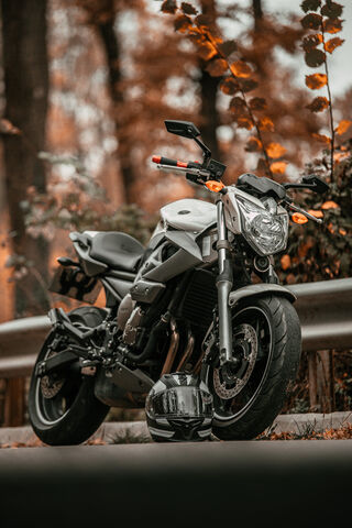 Autumn Ride 🏍️🍂