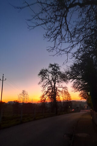 Sunset Serenity: Embrac..