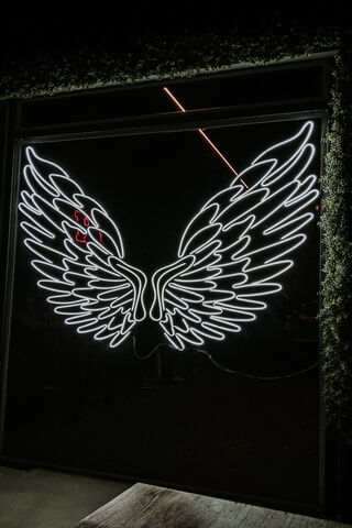 Angelic Glow: Neon Wings ✨