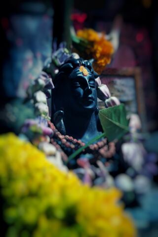 Serene Presence of the ..