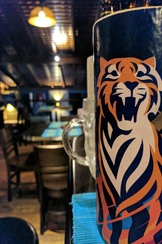 Roaring Good Times at the Bar! 🐅🍻