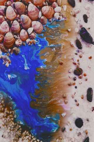 Ocean's Palette: A Coas..