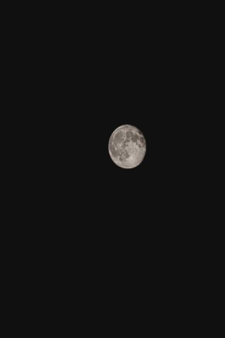 🌕 Majestic Moonlit Night