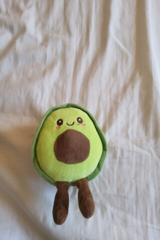 Adorable Avocado Plushi..