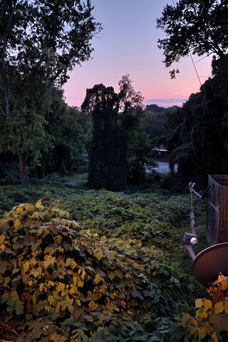 Serene Twilight in Natu..