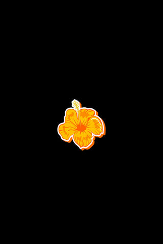 Vibrant Orange Hibiscus 🌺✨