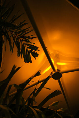 Warm Glow Under the Can..