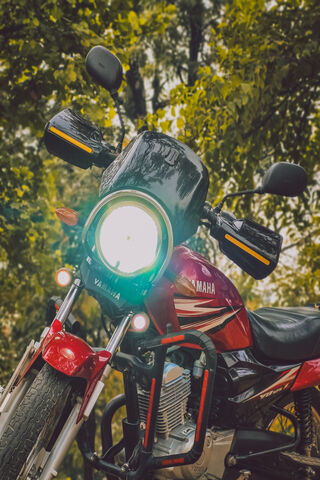Revving Up Adventure! 🏍️✨