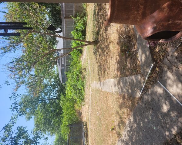 A Sunny Day in the Back..