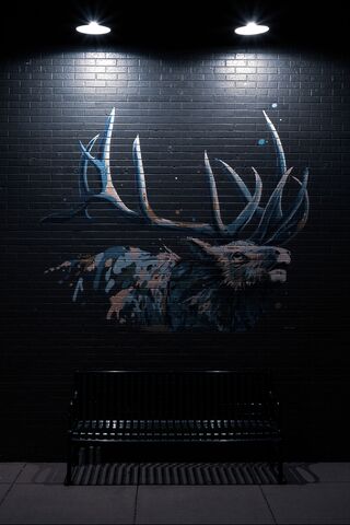 Blue Moose