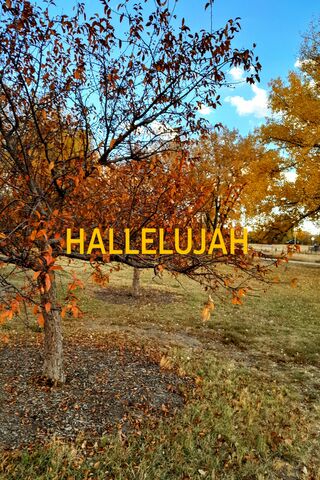 Autumn's Praise: A Seas..