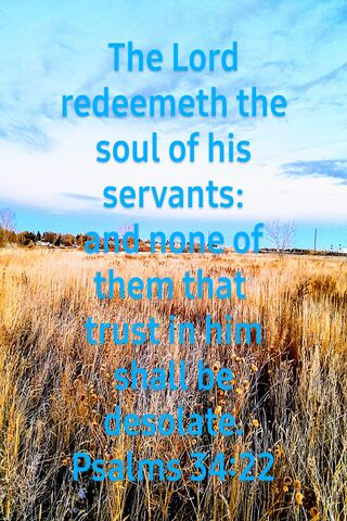 Bible Verse Psalms