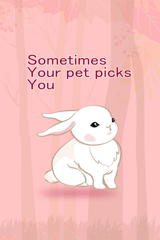 Beautiful Pets