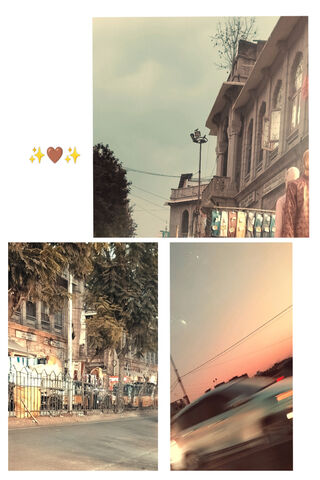 Brown Aesthetic Collage