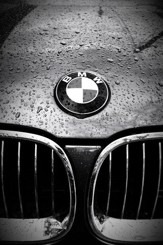 BMW Elegance in the Rai..