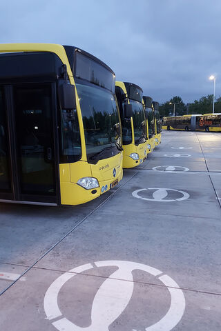Bright Yellow Buses Rea..