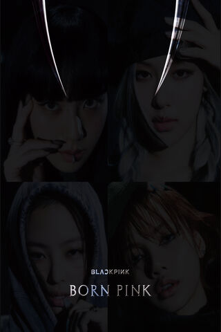 BLACKPINK BORN PINK 2