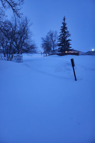 Winter Wonderland: A Sn..