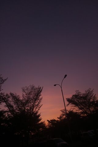Beautiful Sunset