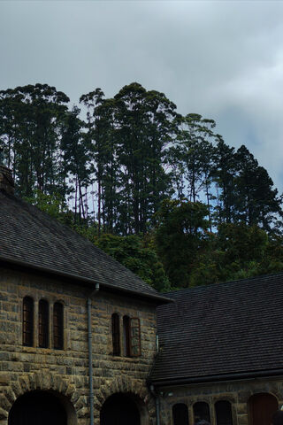Bungalow Bliss: Nature'..