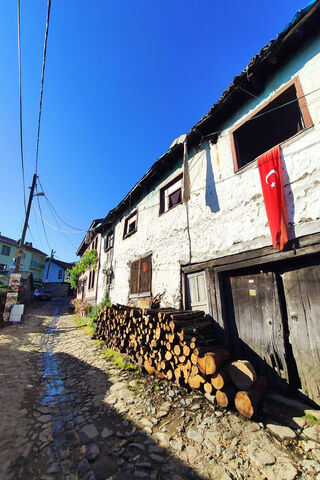 Bursa