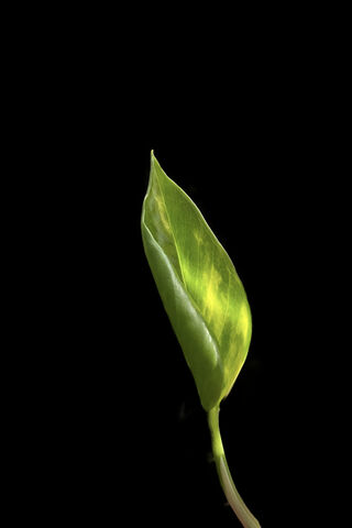 New Beginnings 🌱✨