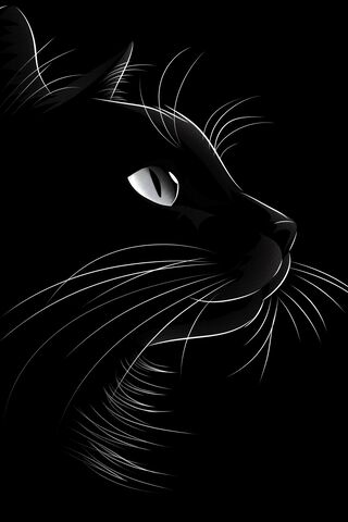 Mystique of the Midnigh..