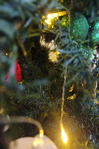 Christmas Day Day Day