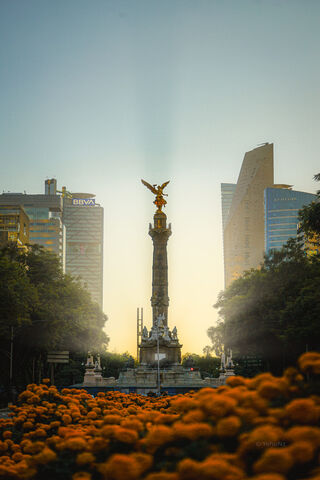 Angel of Independence at Dawn 🌅