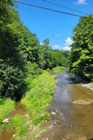 Serene River Escape 🌊🌳