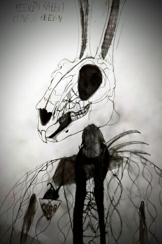 Mysterious Rabbit Creat..