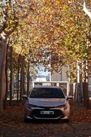 Autumn Drive 🍂🚗