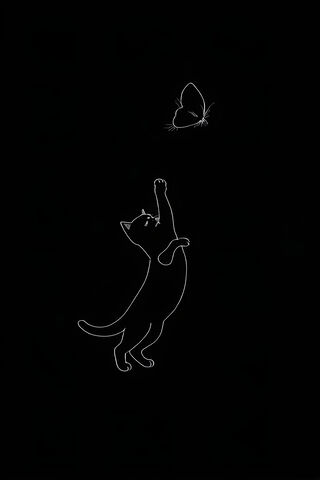 Chasing Dreams 🐱🦋