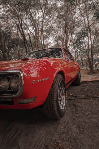 Revving Up Nostalgia: T..