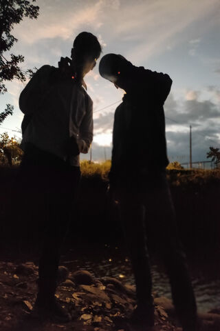 Silhouettes at Dusk 🌅