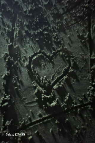 Love Carved in Time ❤️