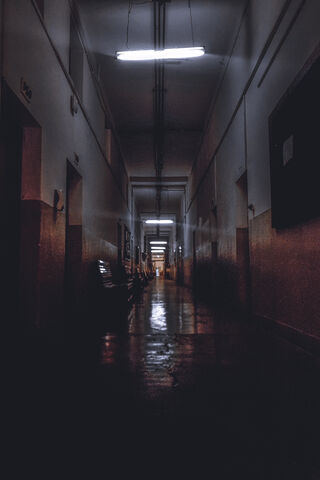 Haunting Hallway 🏢✨